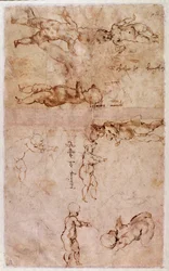 Page of sketches of babies or cherubs